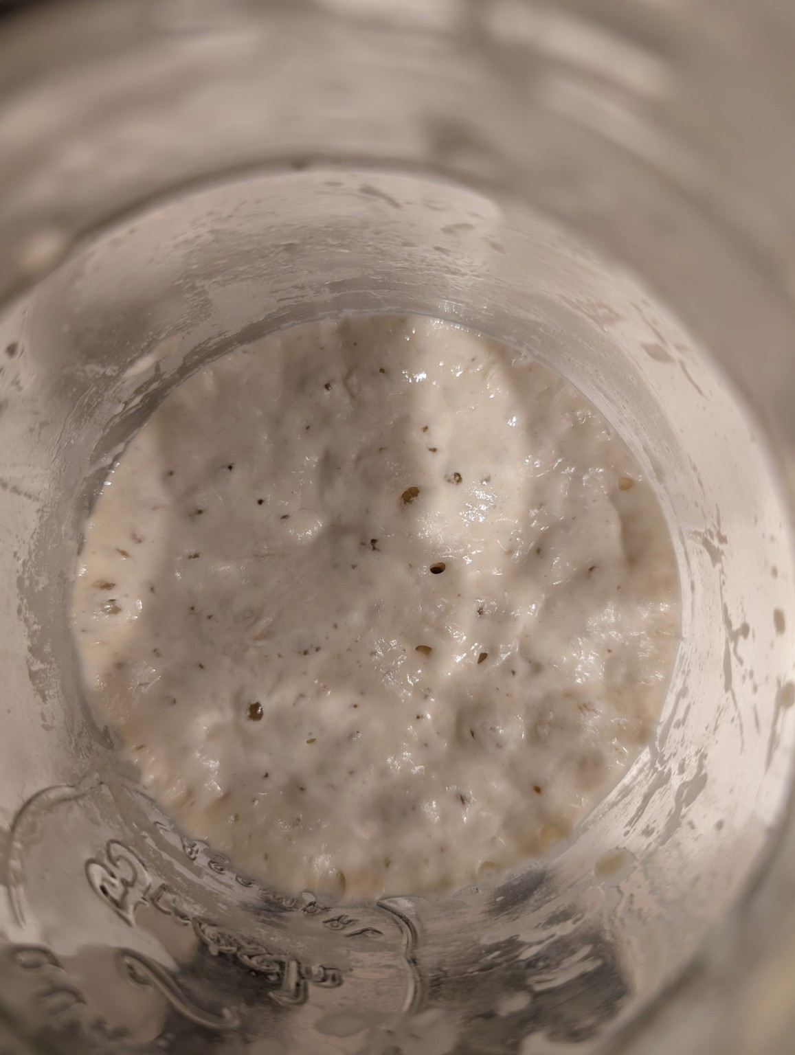 Active sourdough starter close-up