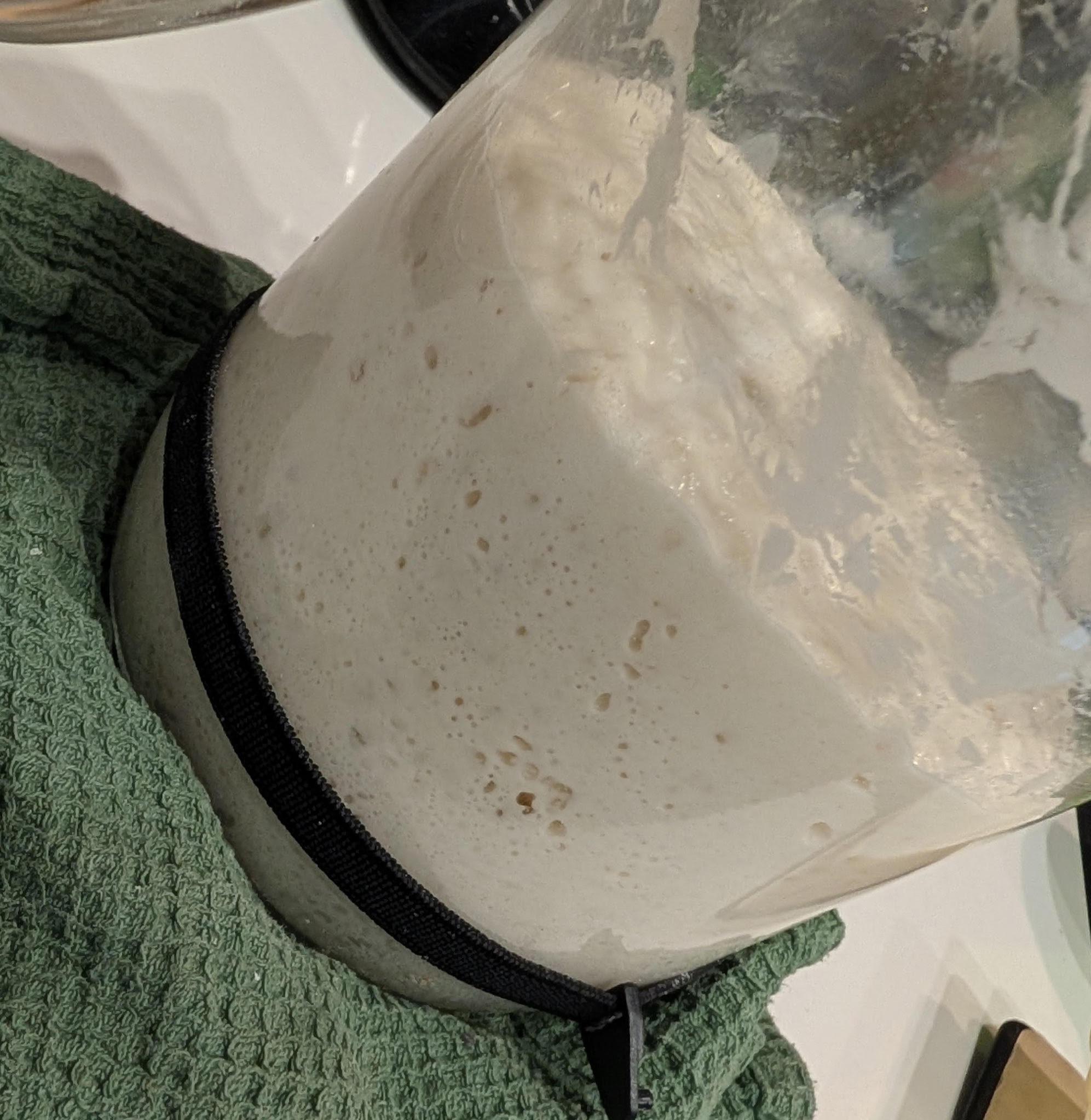 Sourdough starter in fermentation jar